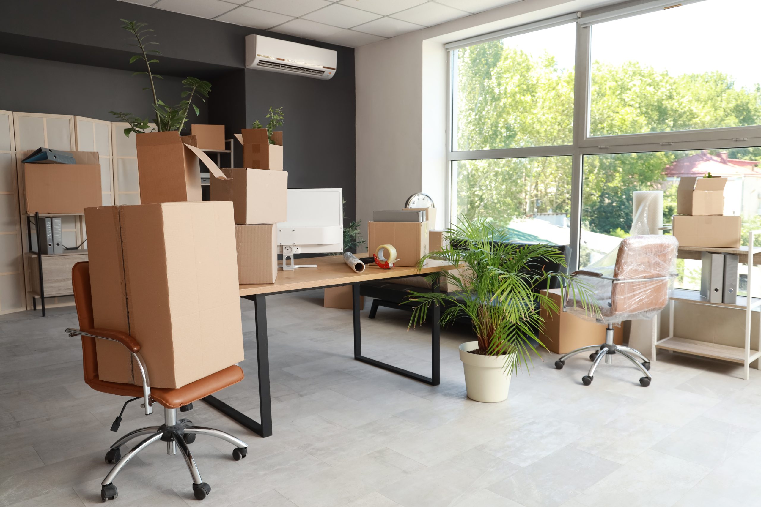 Organisation und Koordination