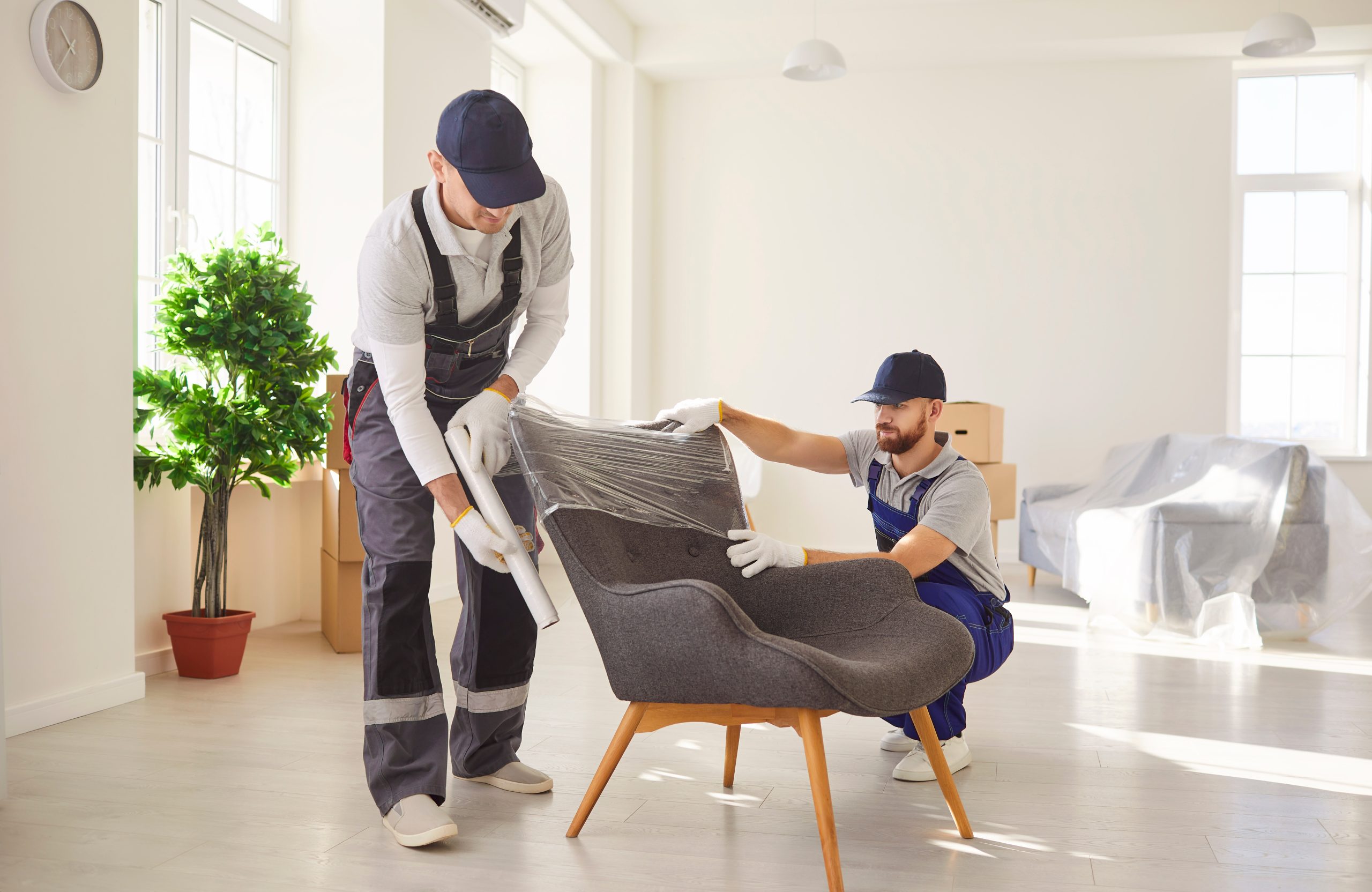 Verlagerung und Einrichtung