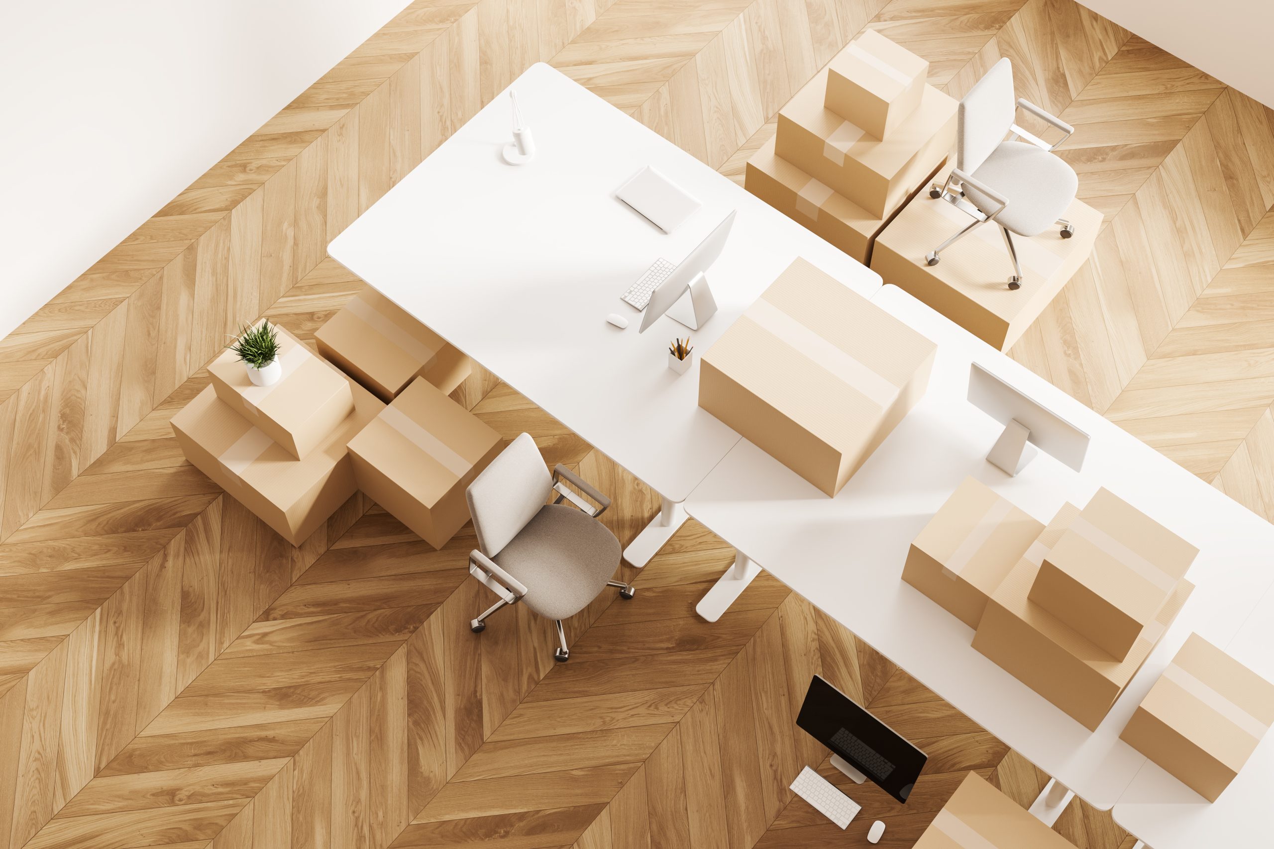 Organisation und Koordination